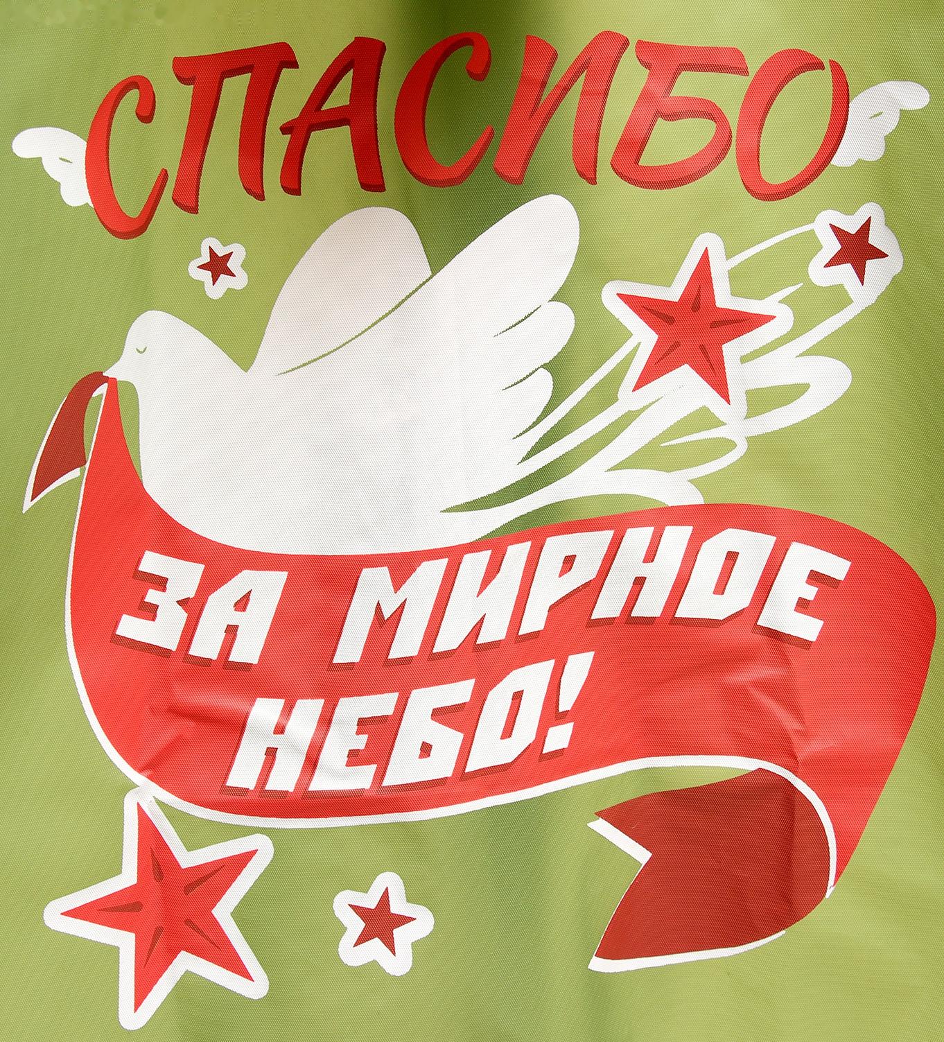 Карнавальный набор «9 мая!», рост 104-152 см, дождевик, флажок