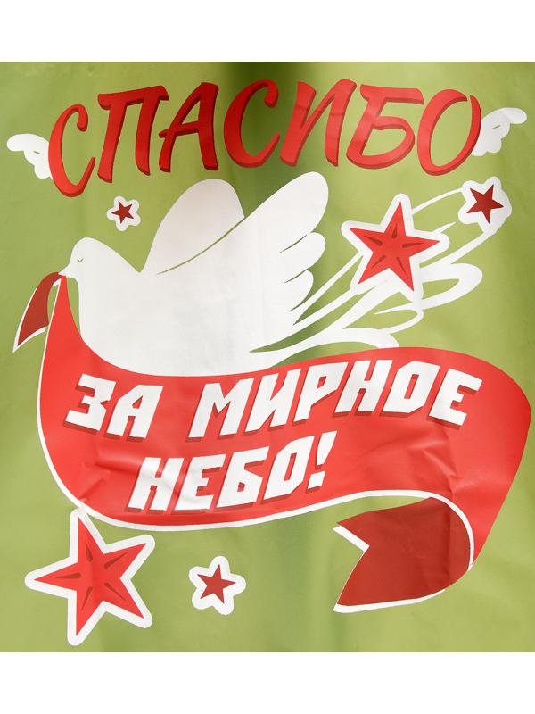 Карнавальный набор «9 мая!», рост 104-152 см, дождевик, флажок