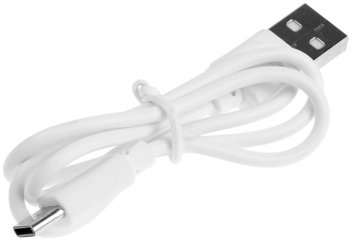 Опрыскиватель аккумуляторный ТУНДРА, 3.7 В, 2 Ач, 1 л, 0.7 л/мин, гибкая насадка