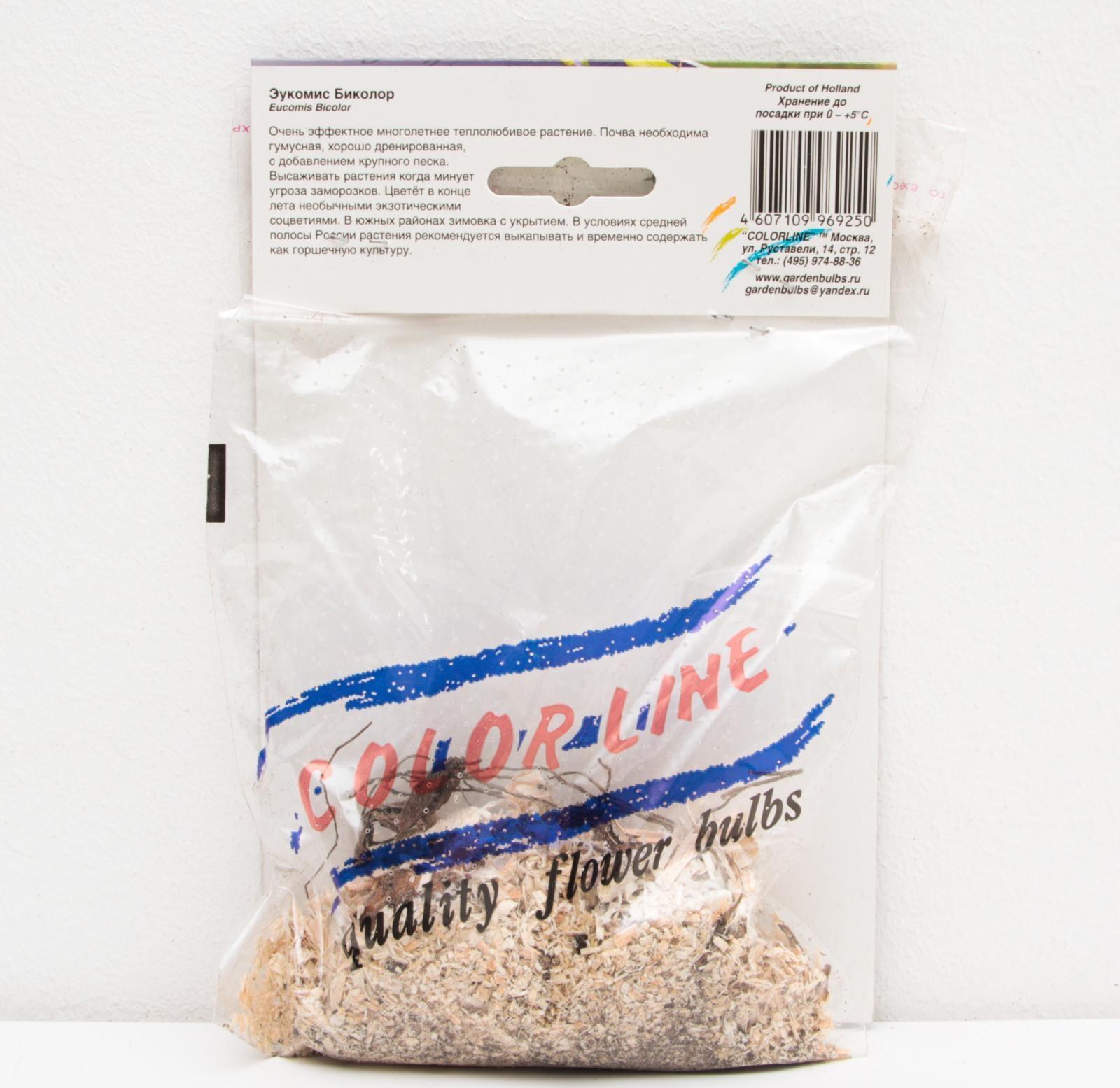 ЭУКОМИС БИКОЛОР р-р 12/14, 2 шт