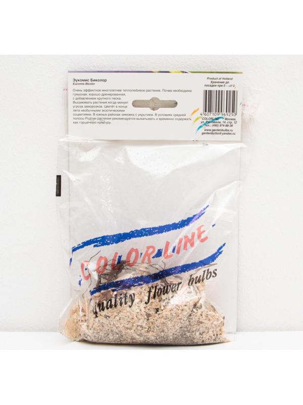 ЭУКОМИС БИКОЛОР р-р 12/14, 2 шт