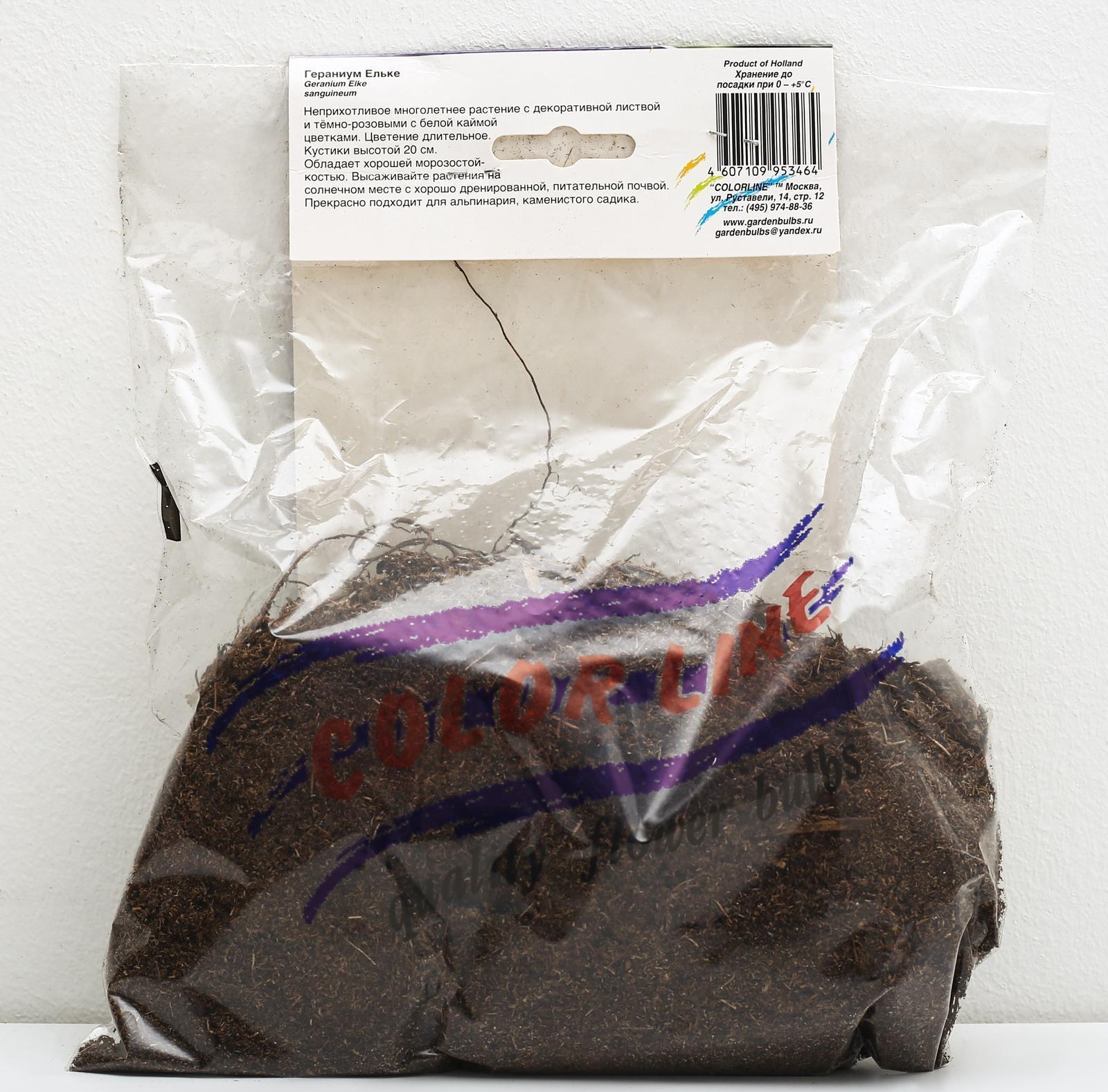 ГЕРАНИУМ ЕЛЬКЕ р-р I, 1 шт