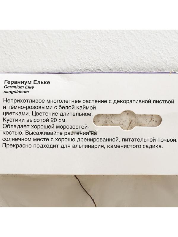 ГЕРАНИУМ ЕЛЬКЕ р-р I, 1 шт