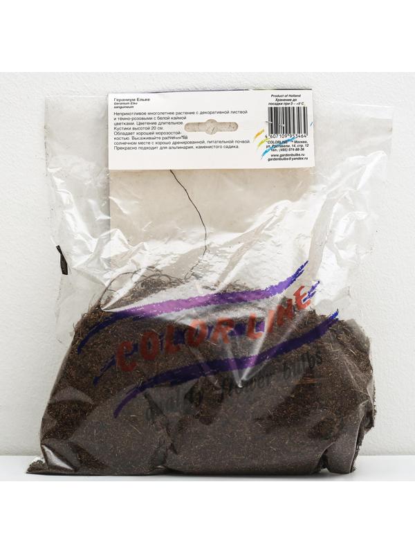 ГЕРАНИУМ ЕЛЬКЕ р-р I, 1 шт