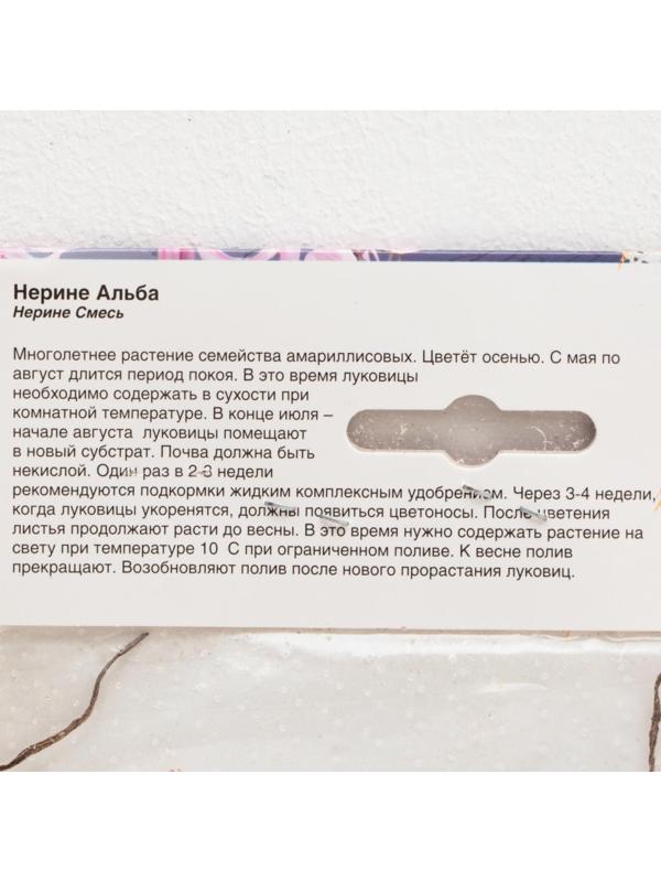 НЕРИНЕ СМЕСЬ р-р 12/+, 2 шт