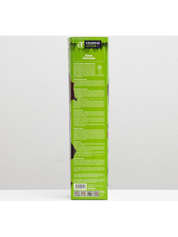 Саженец розы Блек Баккара, 1шт, Весна 2022