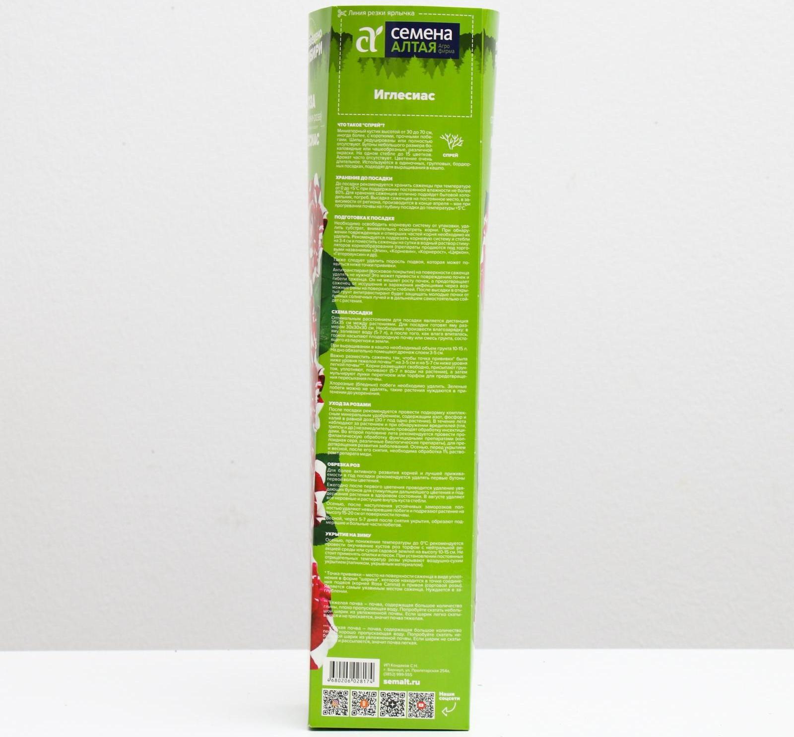 Саженец розы Иглесиас, 1 шт, Весна 2022