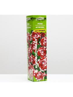 Саженец розы Иглесиас, 1 шт, Весна 2022