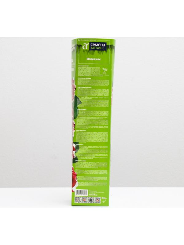 Саженец розы Иглесиас, 1 шт, Весна 2022