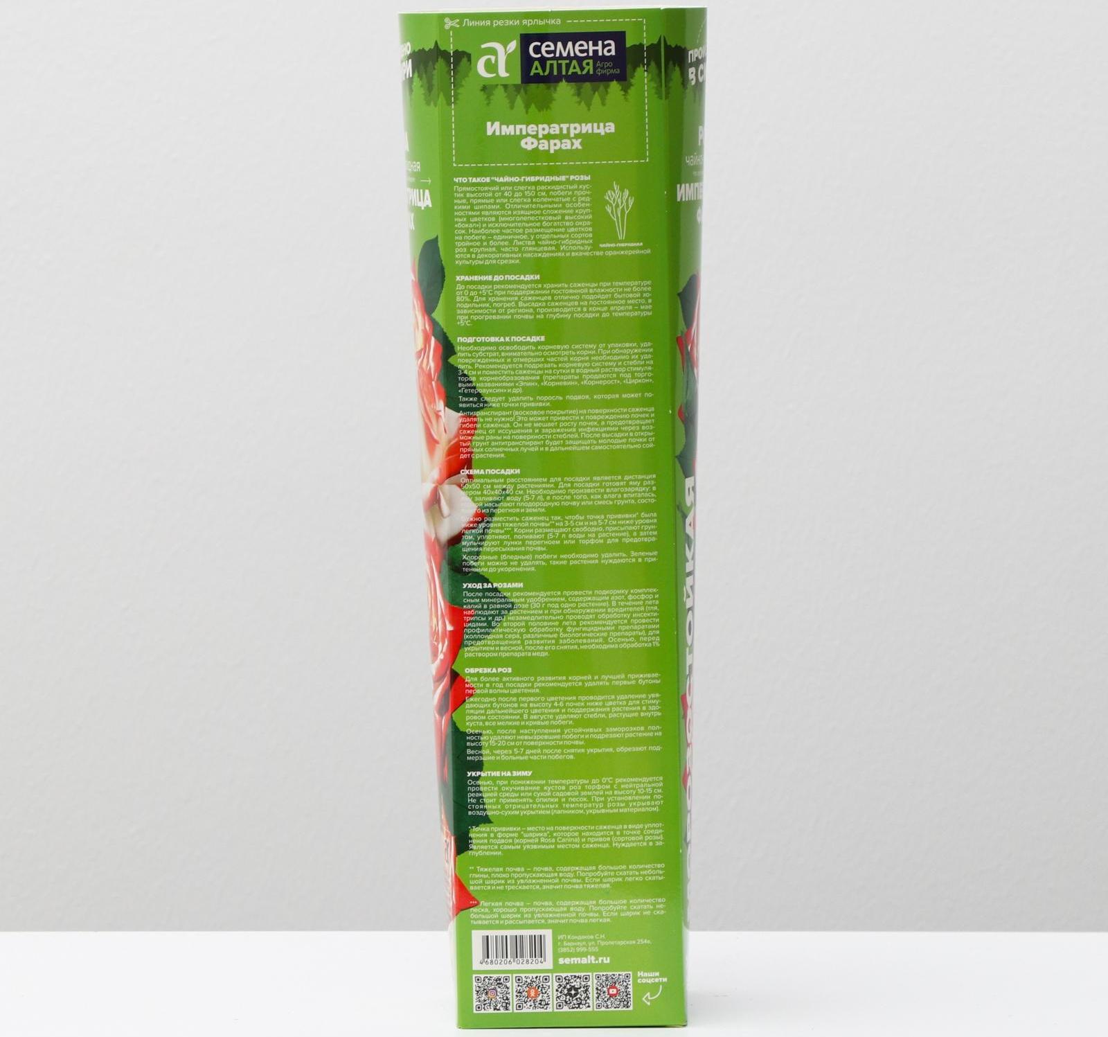 Саженец розы Императрица Фарах, 1шт, Весна 2022