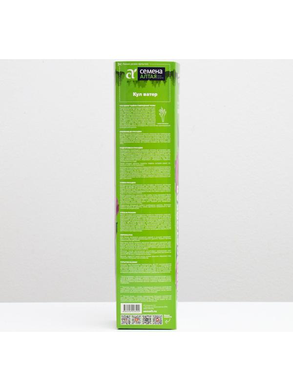 Саженец розы Кул Ватер Весна 2024, 1 шт.