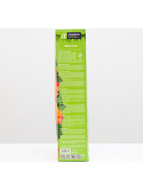 Саженец розы Мега Стар, Весна 2024, 1 шт.