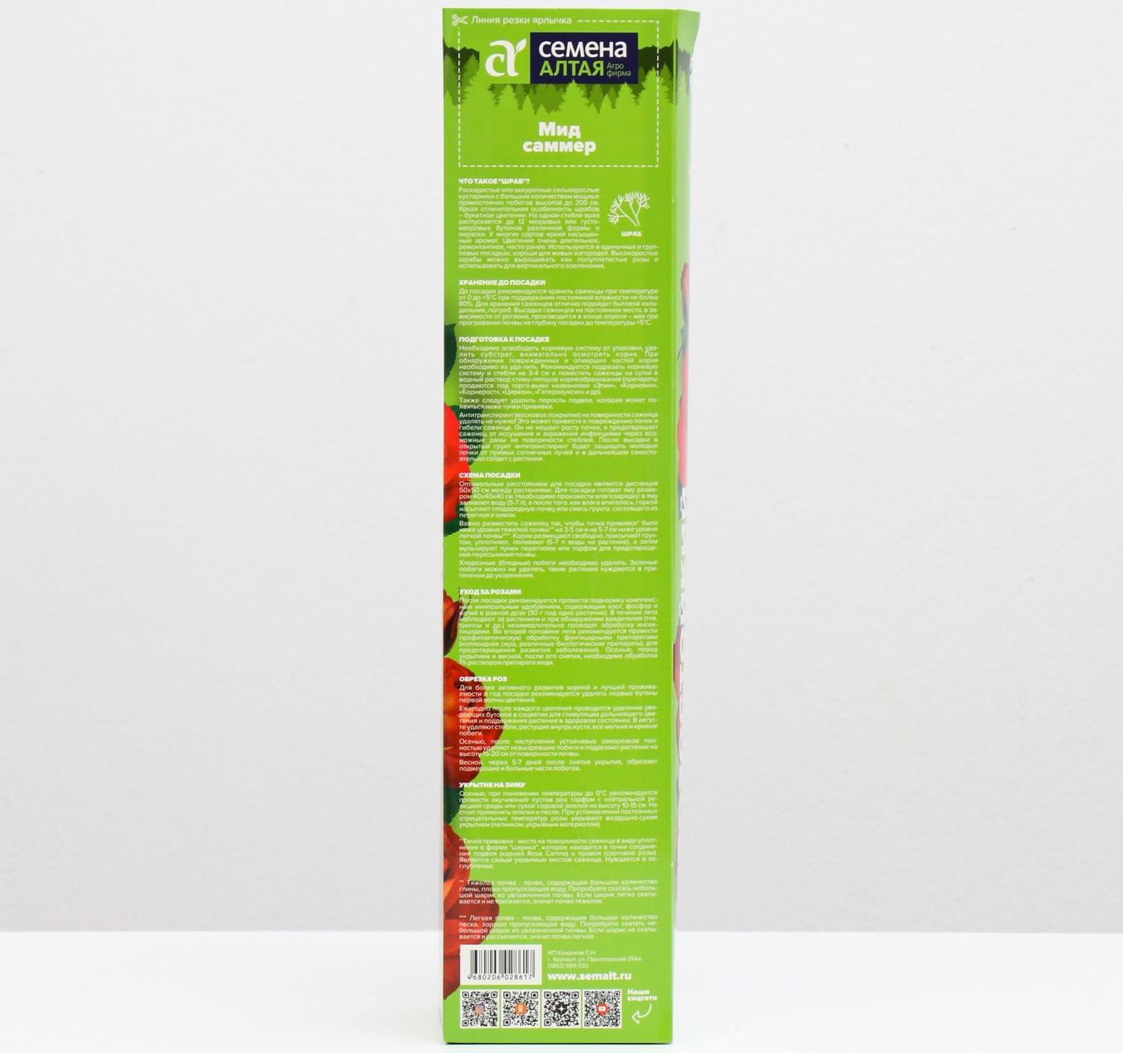 Саженец розы Мид Саммер,  Весна 2024, 1 шт.