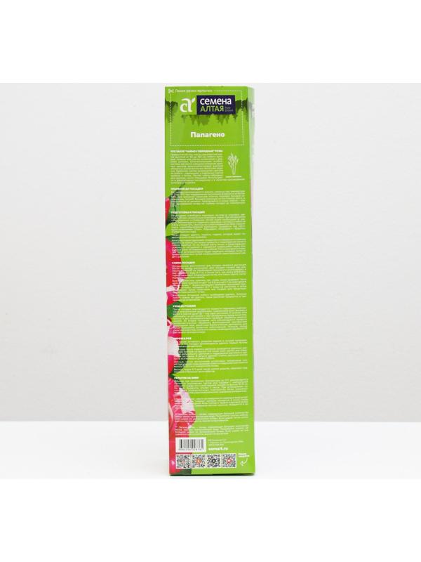 Саженец розы Папагено,  Весна 2024, 1 шт.