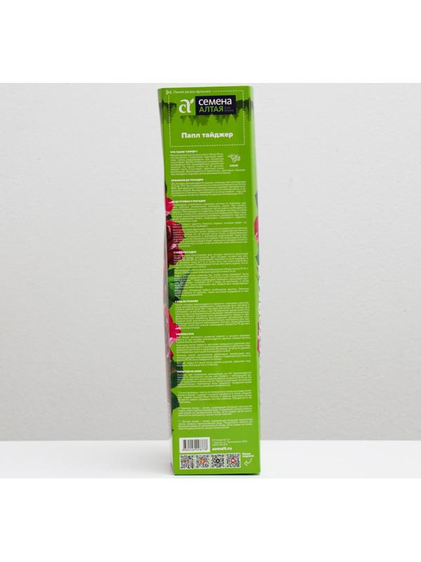 Саженец розы Папл Тайджер, Весна 2024, 1 шт.