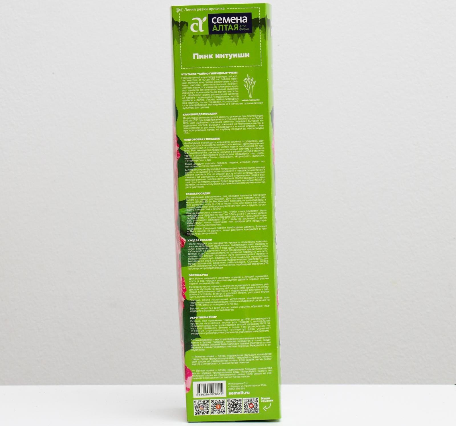 Саженец розы Пинк Интуишн,  Весна 2024, 1 шт.