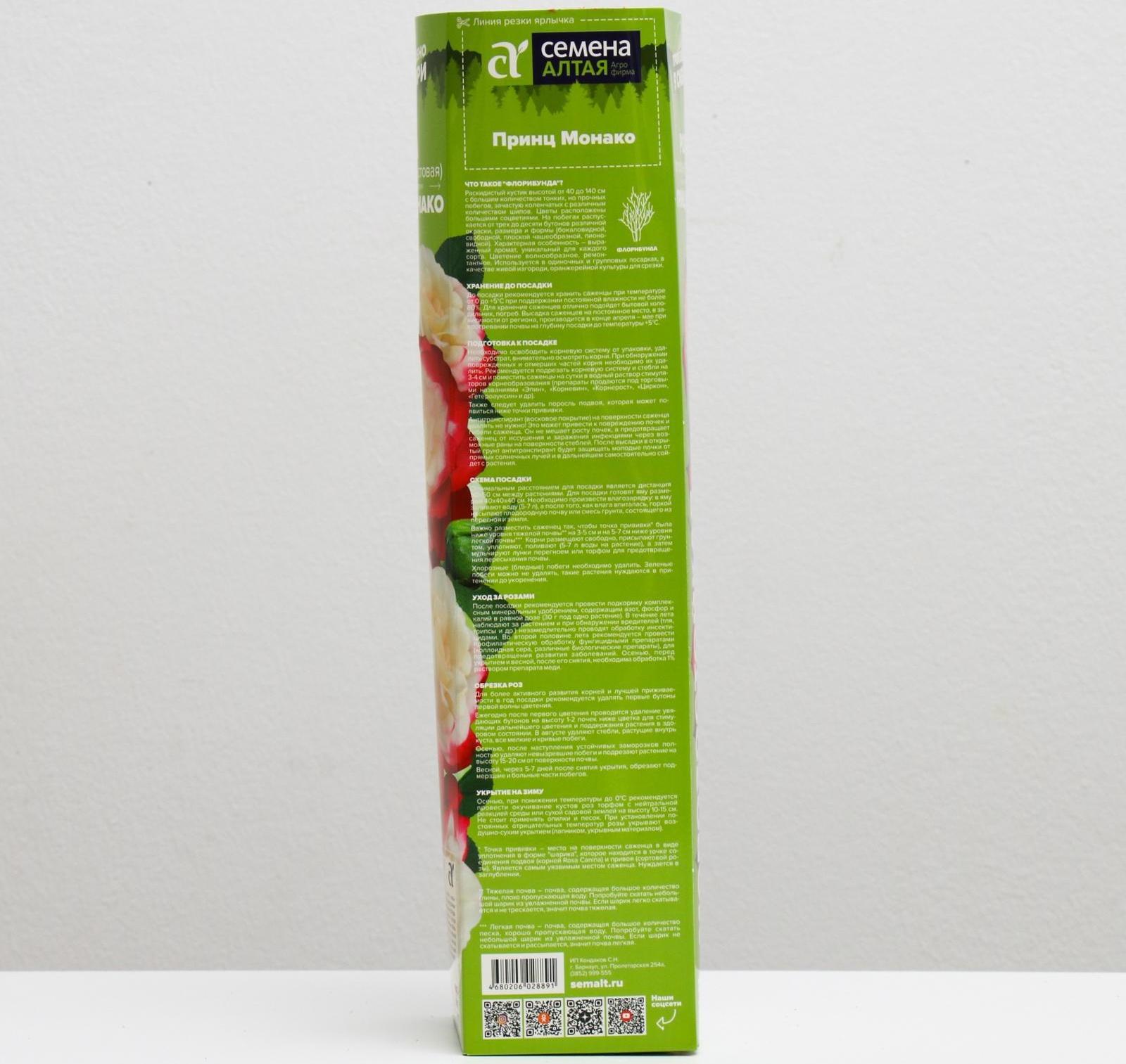 Саженец розы Принц Монако,  Весна 2024, 1 шт.