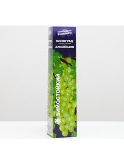 Саженец винограда Алешенькин,  Весна 2024, 1 шт.