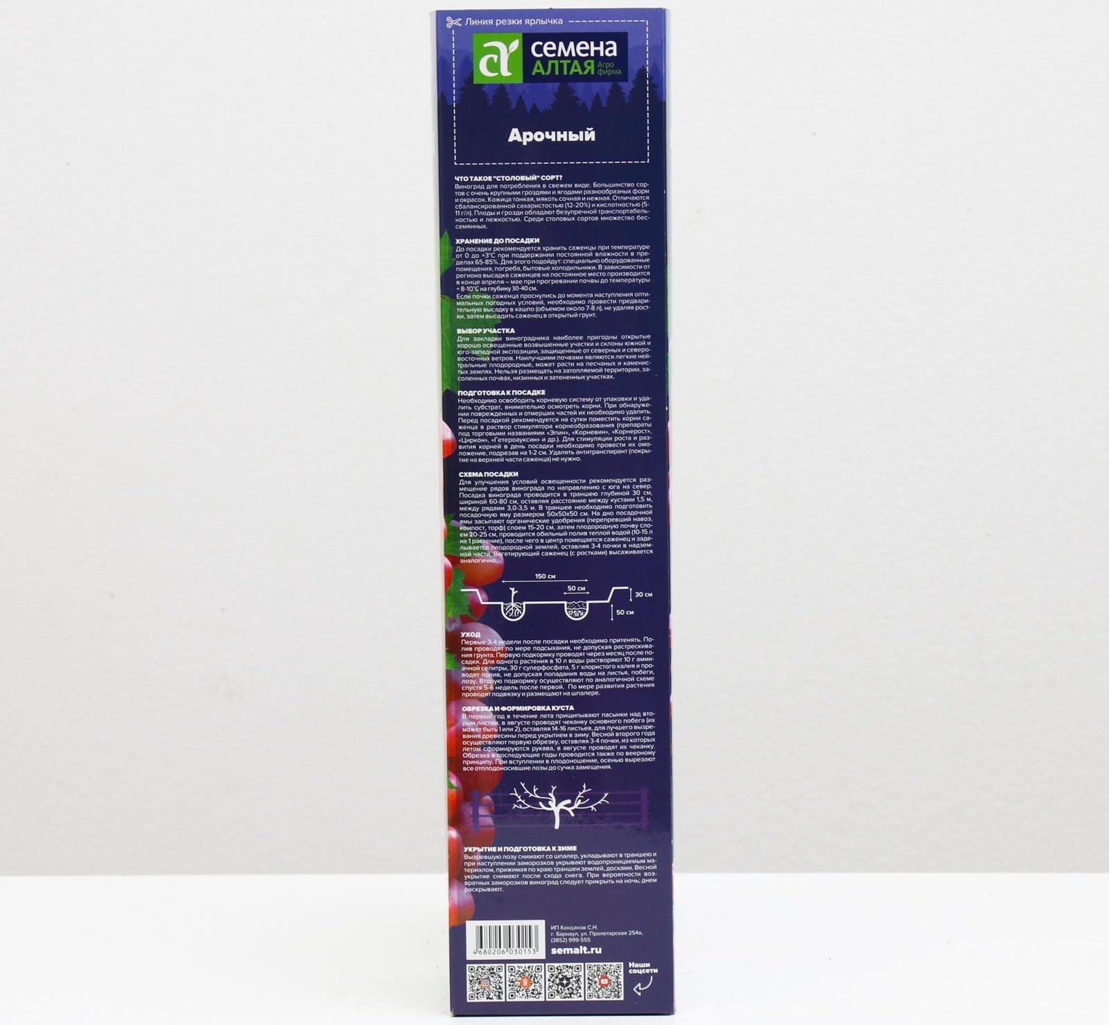 Саженец винограда Арочный,  Весна 2024, 1 шт.