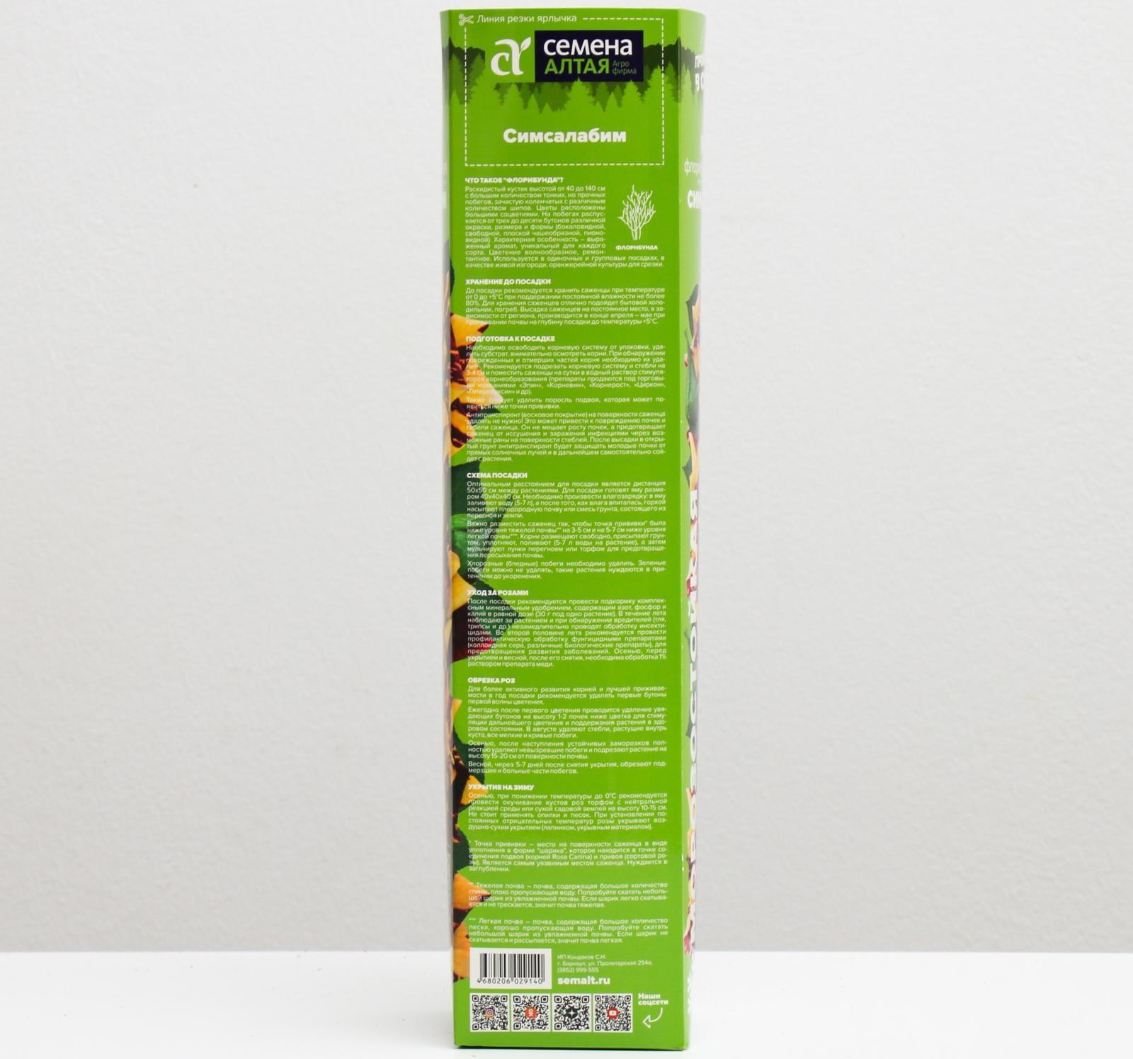 Саженец розы Симсалабим,  Весна 2024, 1 шт.