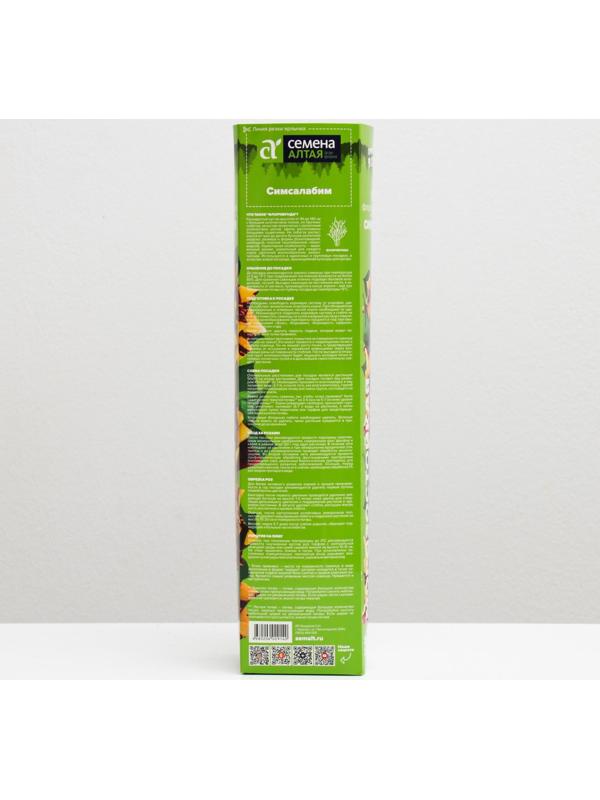 Саженец розы Симсалабим,  Весна 2024, 1 шт.