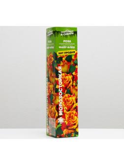 Саженец розы Файр Флеш,  Весна 2024, 1 шт.