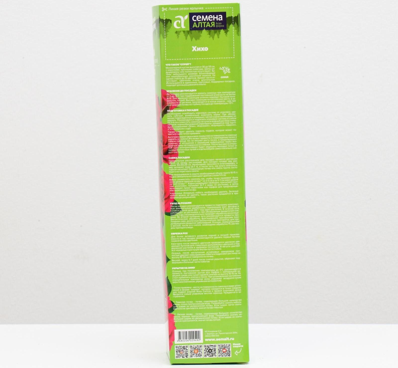 Саженец розы ХиХо, Весна 2024, 1 шт.