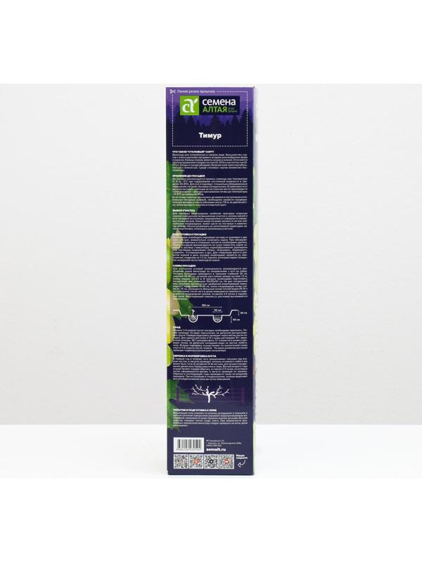 Саженец винограда Тимур,  Весна 2024, 1 шт.