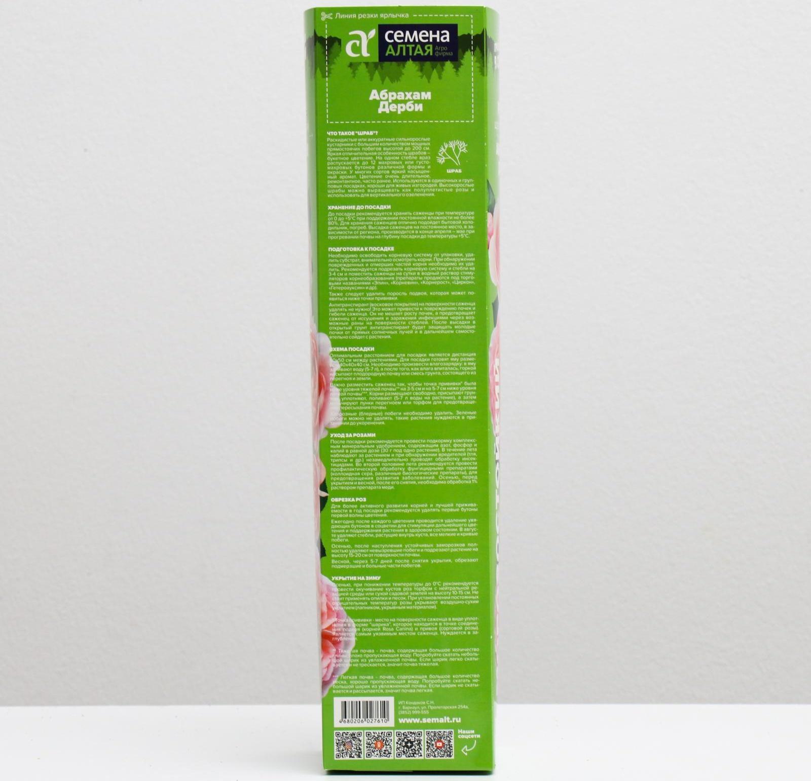 Саженец розы Абрахам Дерби, 1 шт, Весна 2022