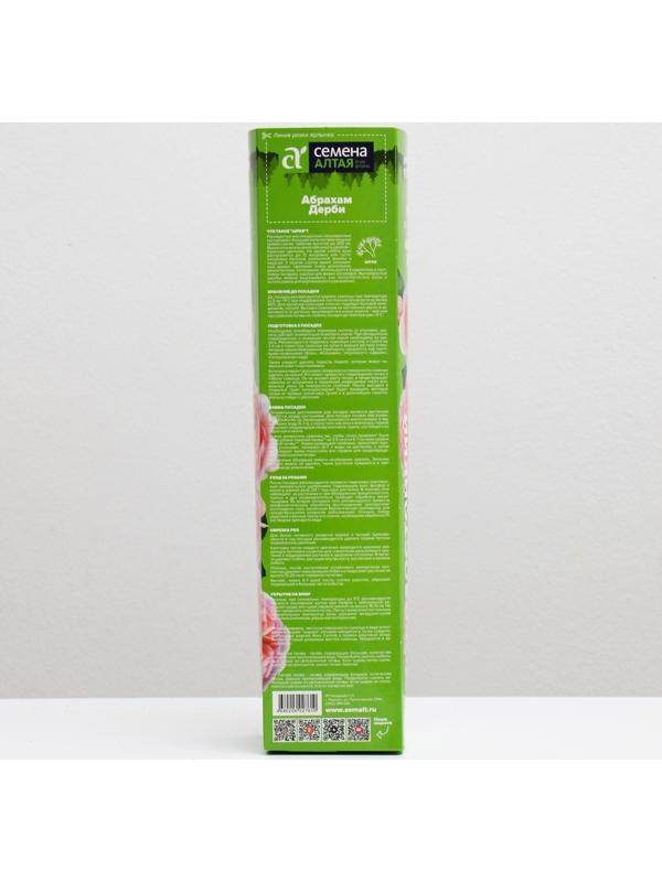 Саженец розы Абрахам Дерби, 1 шт, Весна 2022