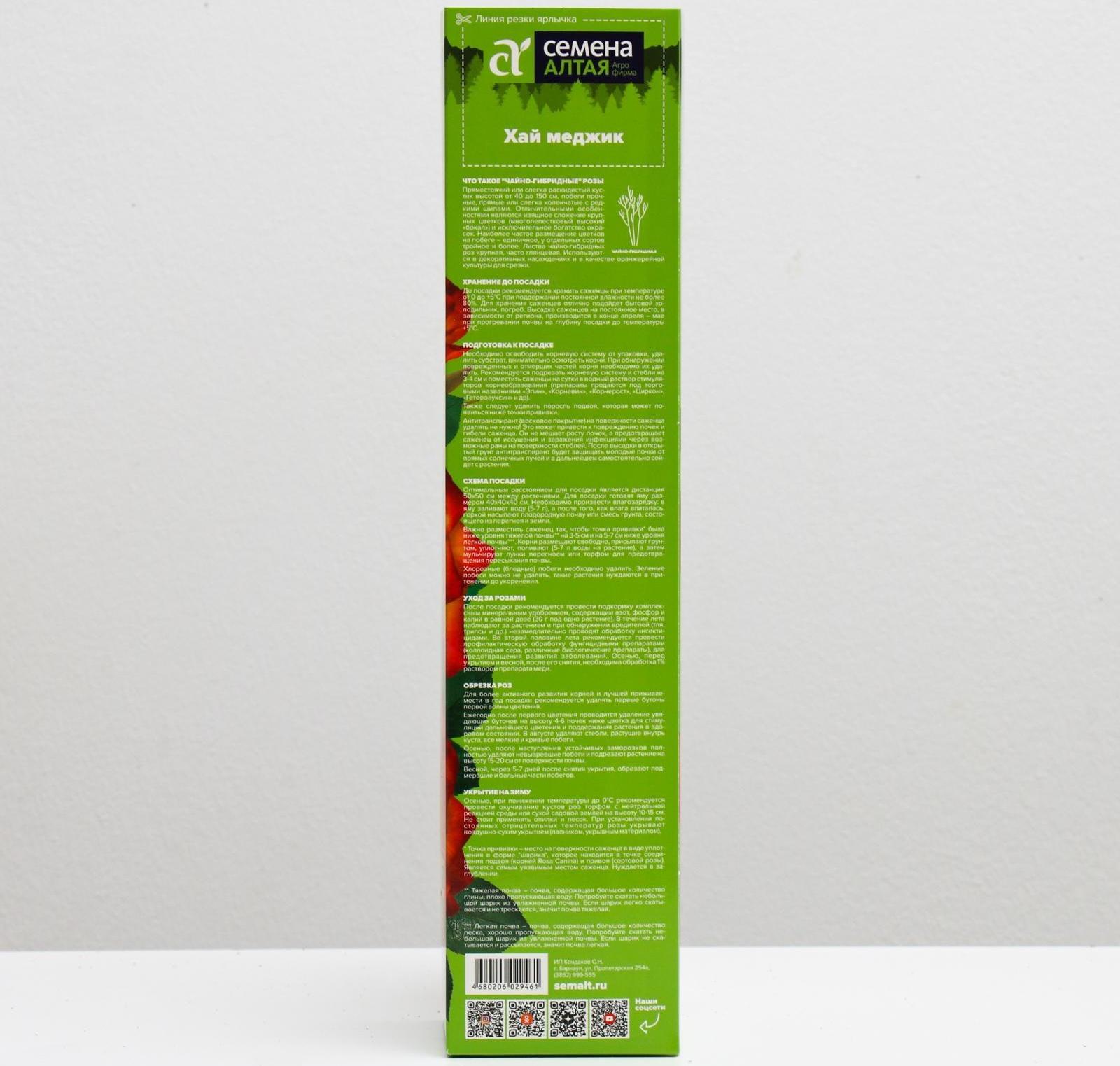 Саженец розы Хай Меджик, Весна 2024, 1 шт.