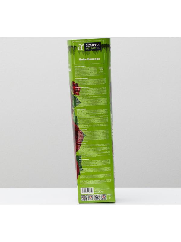 Саженец розы Бэби Бакара, Весна 2024, 1 шт.