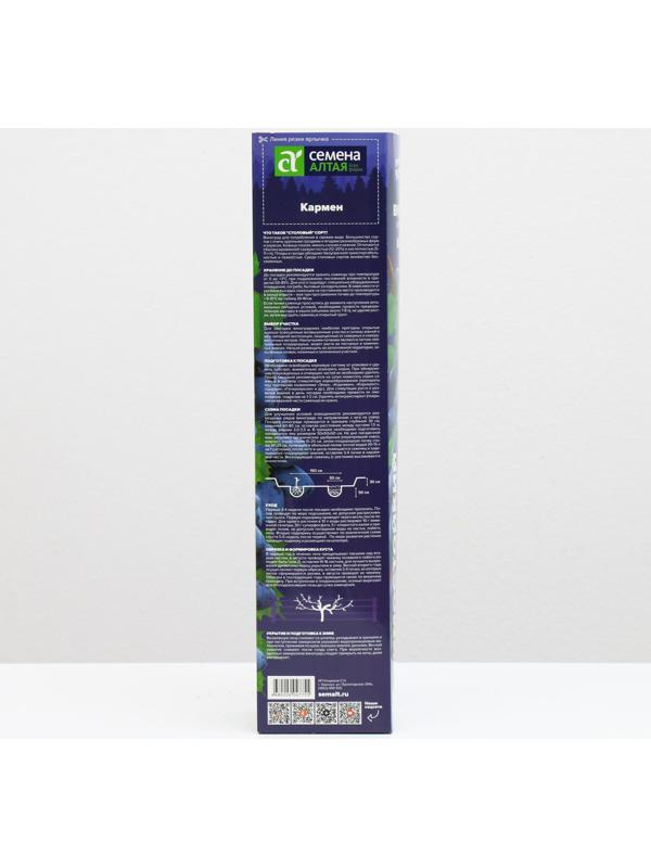 Саженец винограда Кармен Весна 2024, 1 шт.