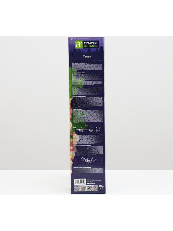 Саженец винограда Тасон Весна 2024, 1 шт.