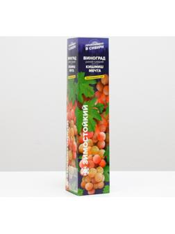 Саженец винограда Кишмиш Мечта Весна 2024, 1 шт.