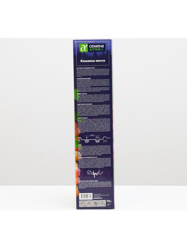 Саженец винограда Кишмиш Мечта Весна 2024, 1 шт.