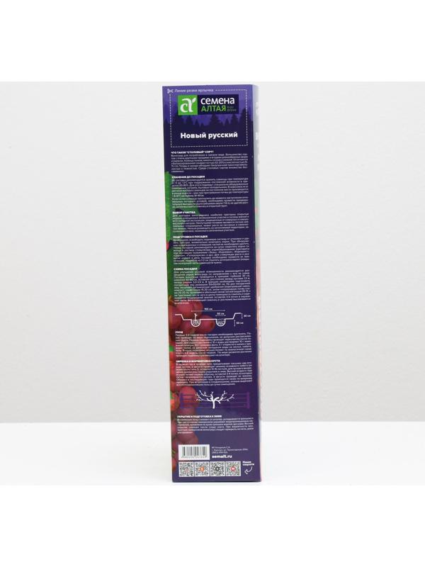 Саженец винограда Новый русский Весна 2024, 1 шт.