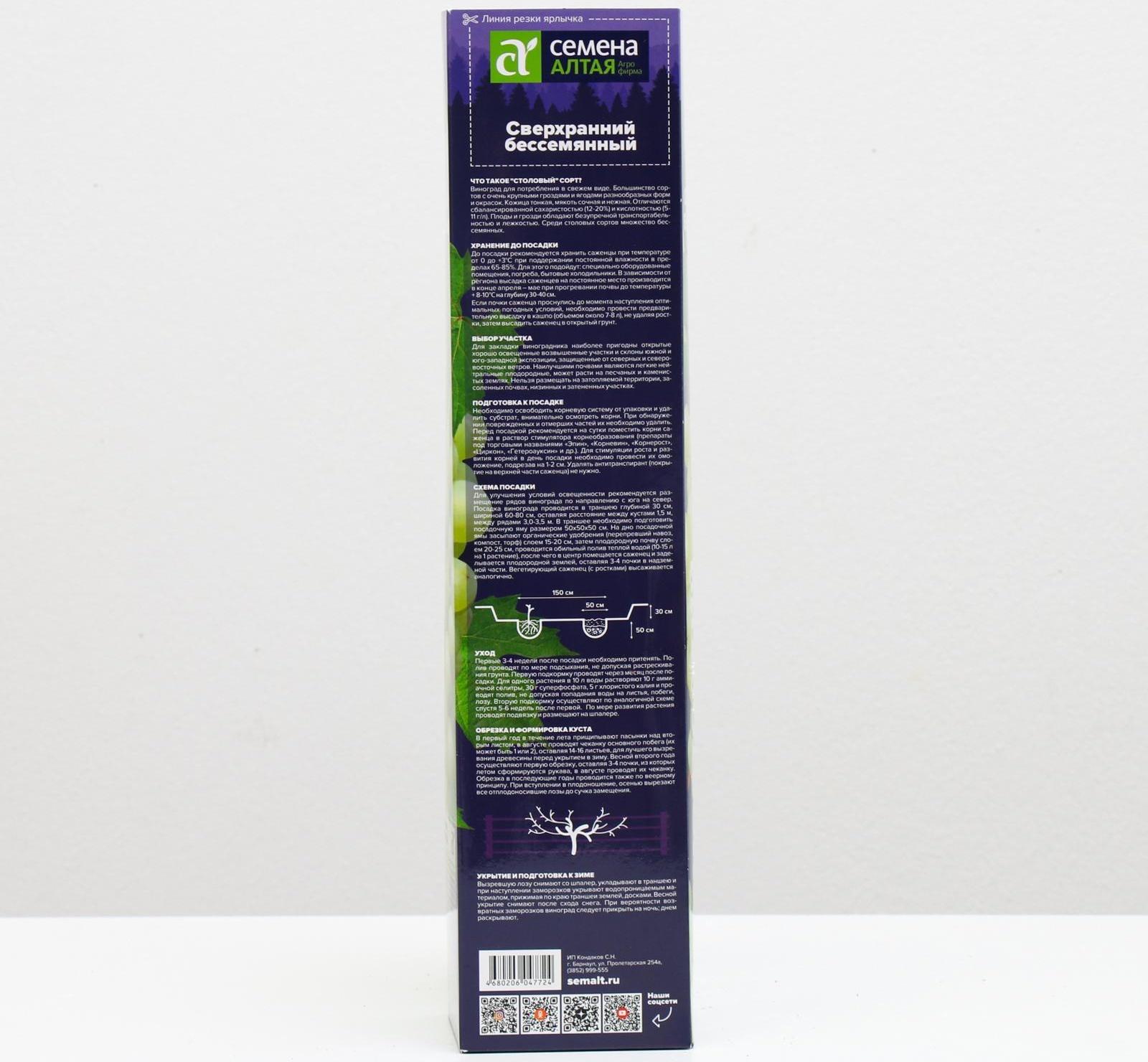 Саженец винограда Сверхранний Бессемянный Весна 2024, 1 шт.