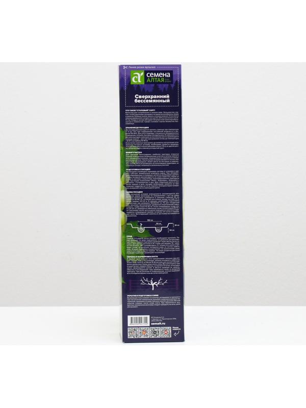 Саженец винограда Сверхранний Бессемянный Весна 2024, 1 шт.