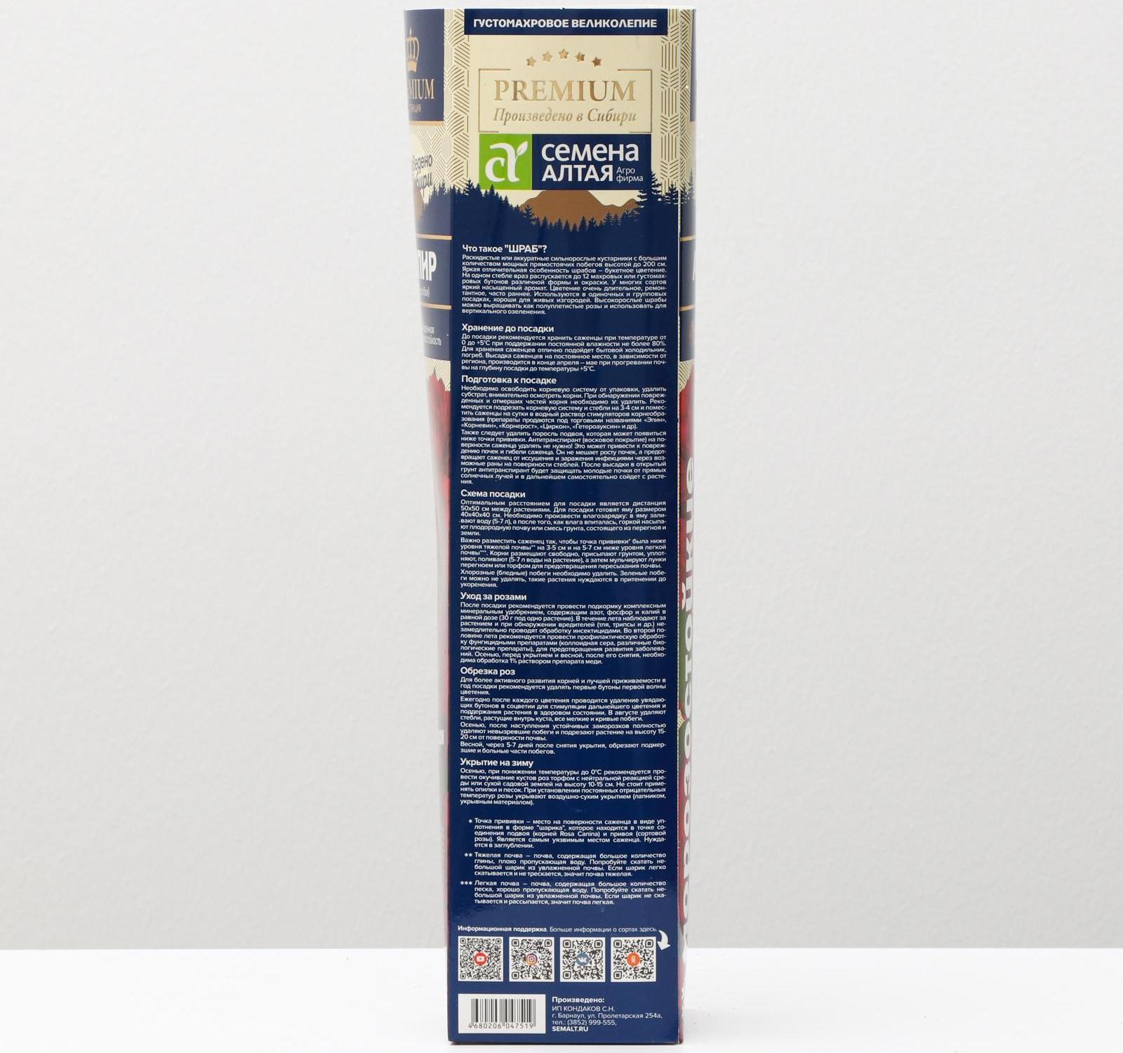 Саженец розы Ампир Весна 2024, 1 шт.