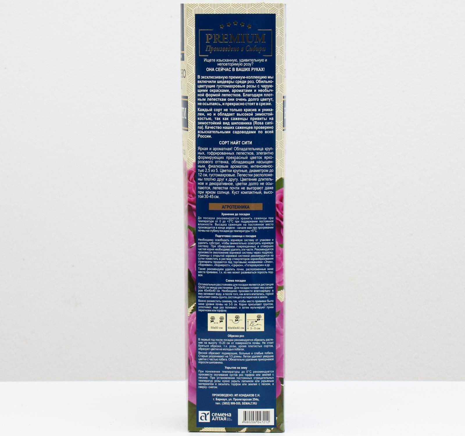 Саженец розы Найт Сити Весна 2024, 1 шт.