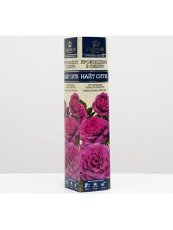 Саженец розы Найт Сити Весна 2024, 1 шт.