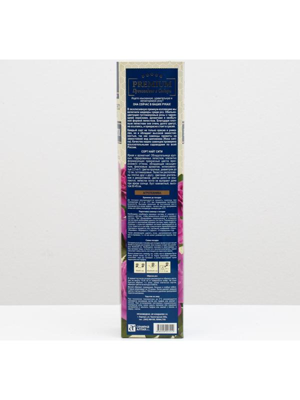 Саженец розы Найт Сити Весна 2024, 1 шт.