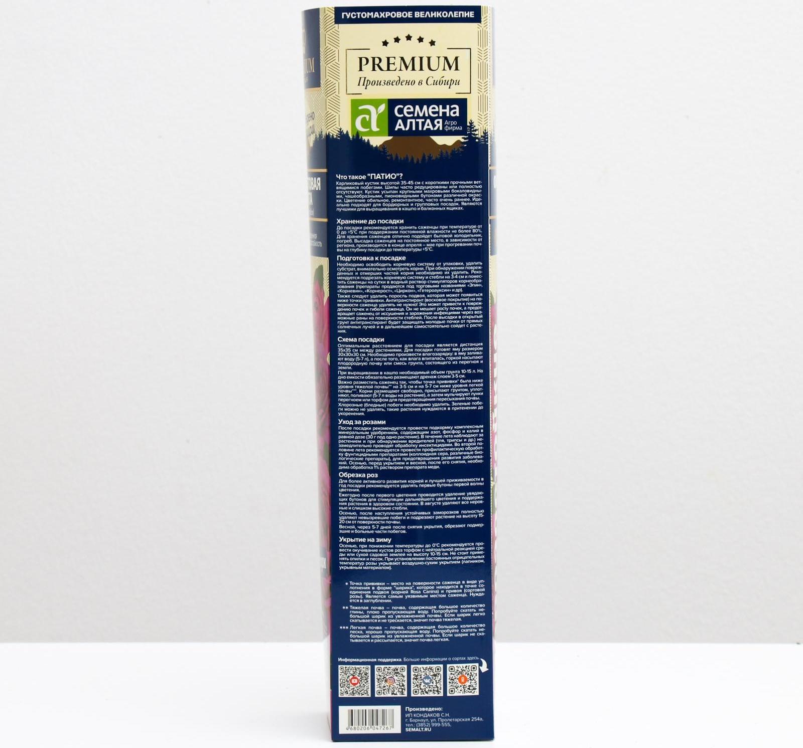 Саженец розы Фиолетовая мечта Весна 2024, 1 шт.