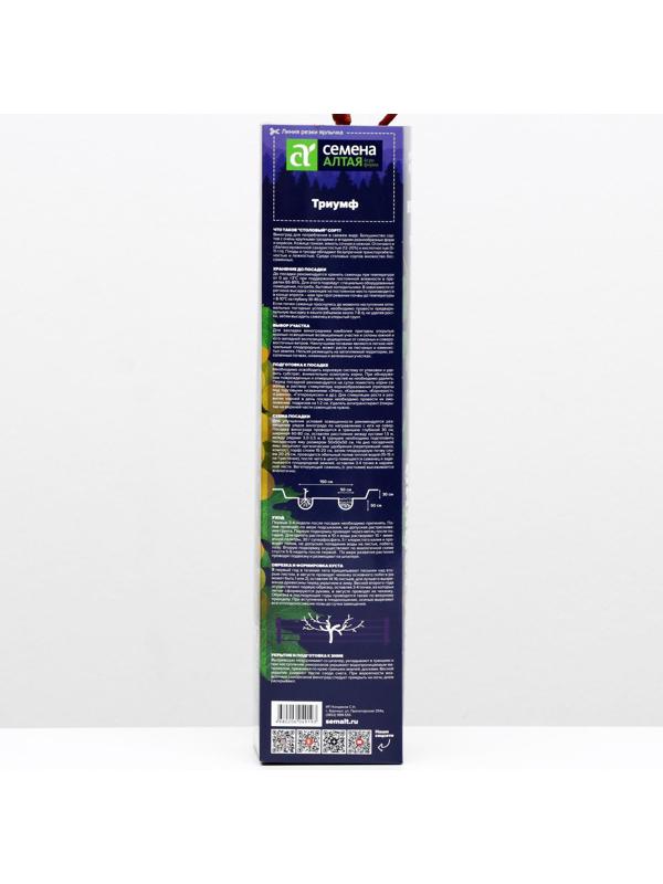 Саженец винограда Триумф Весна 2024, 1 шт.