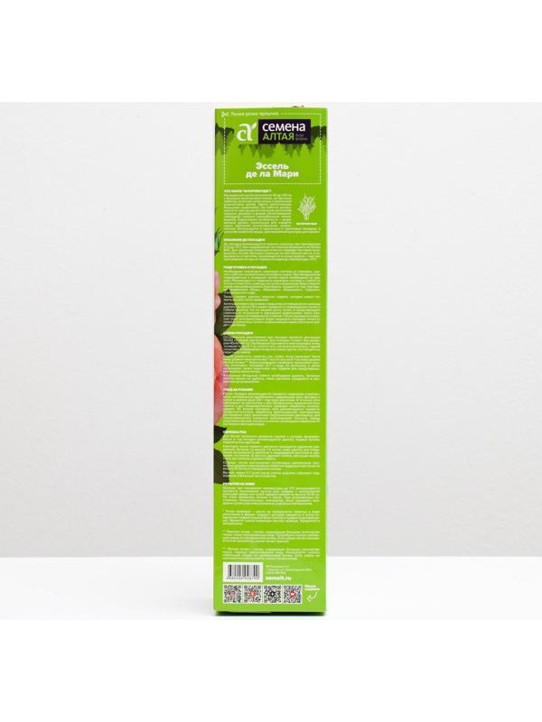 Саженец розы Эссель де ла Мари Весна 2024, 1 шт.