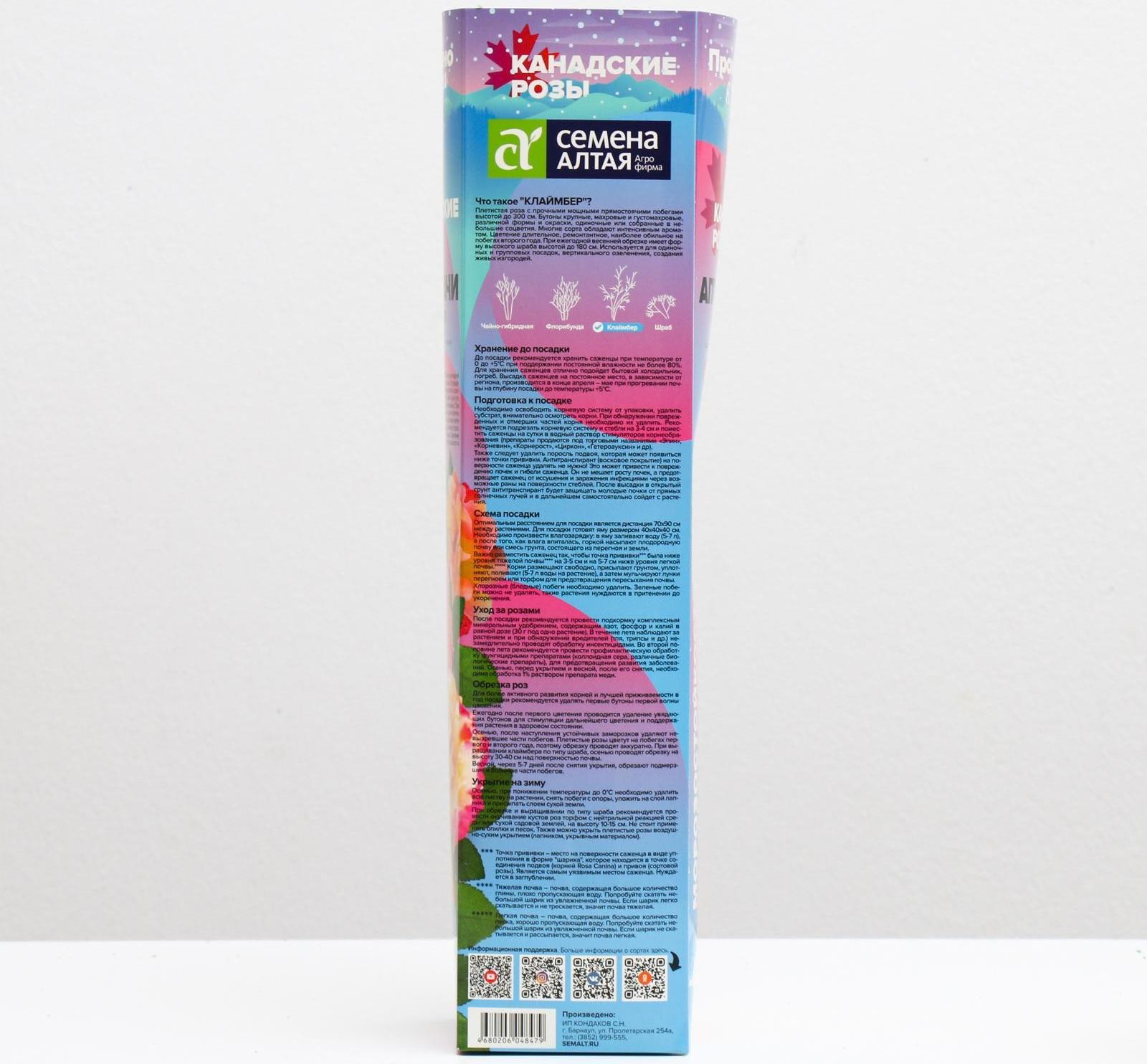 Саженец розы Аппалачи Весна 2024, 1 шт.