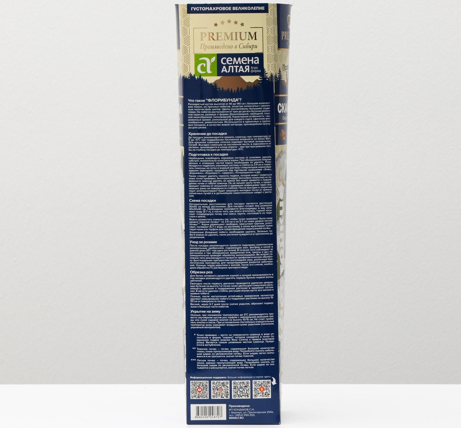 Саженец розы Скай хилл Весна 2024, 1 шт.