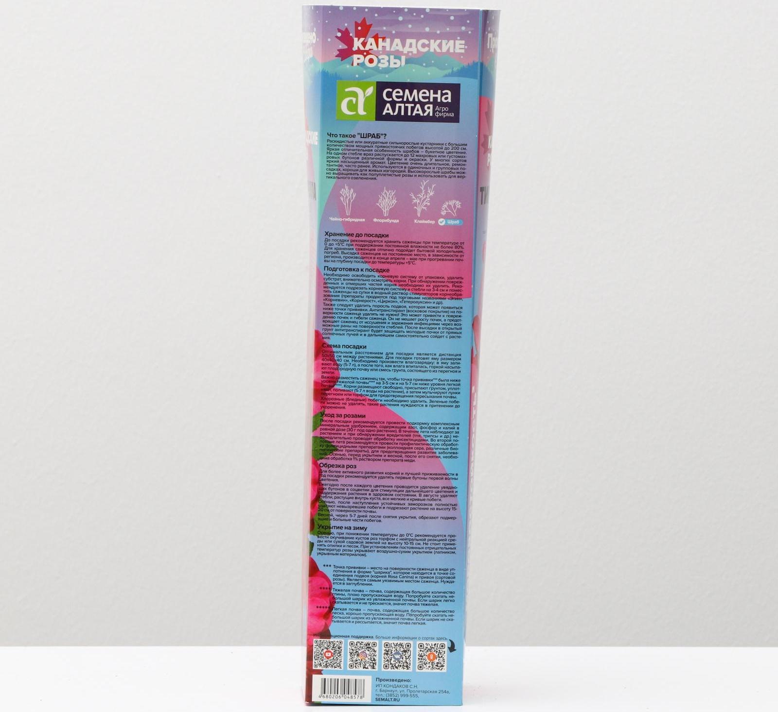 Саженец розы Тиррелла, 1 шт, Весна 2024