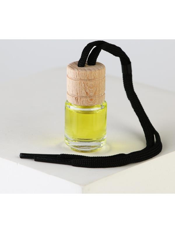 Ароматизатор в автомобиль «Блестящих побед», цитрус